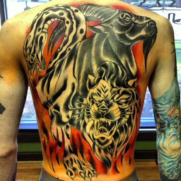 Tiger, 일본 호랑이