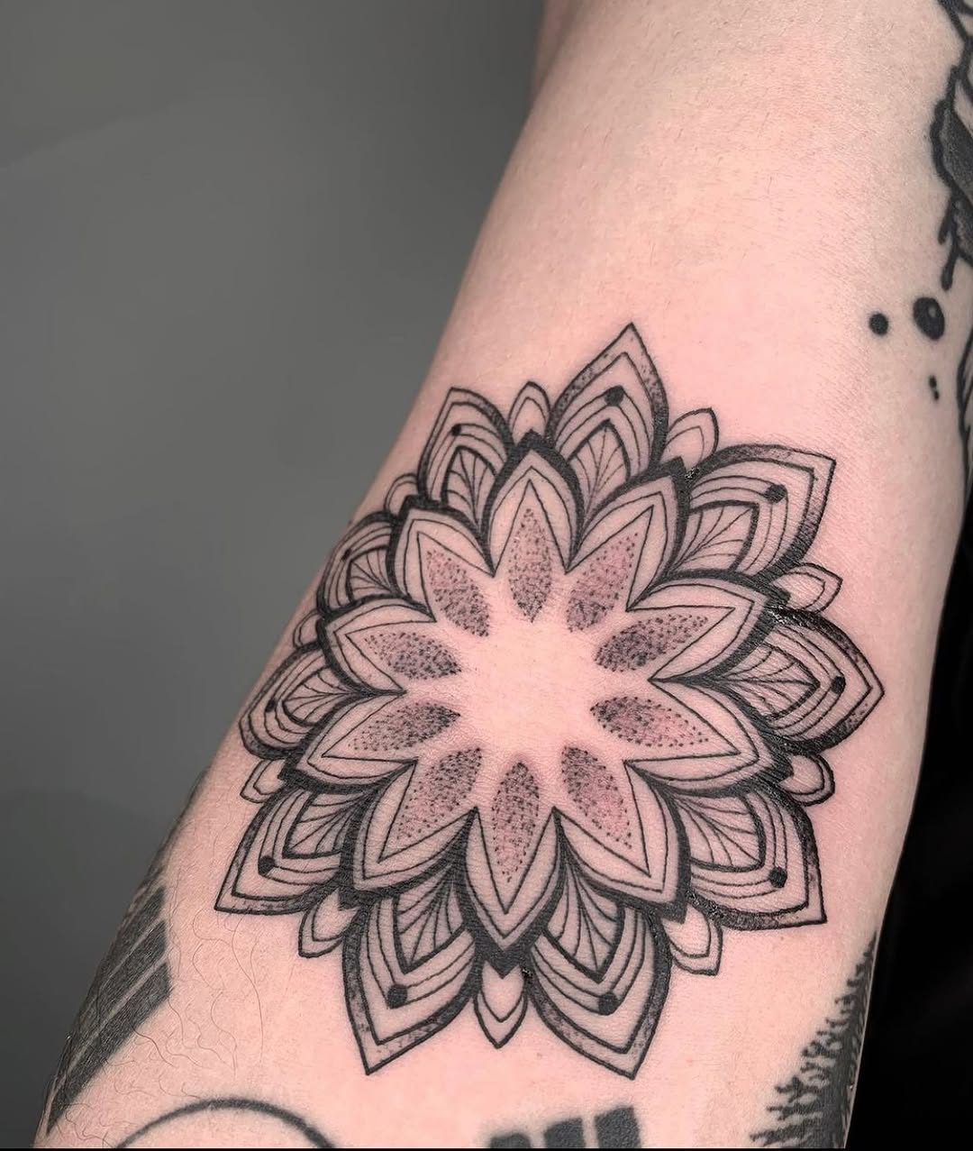 Full Circle Tattoo