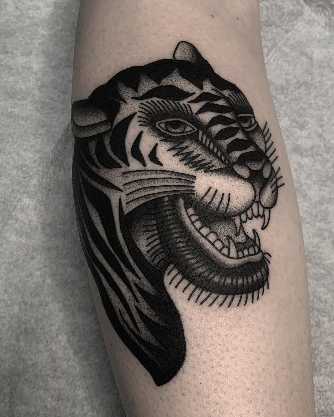 Tiger, Animal