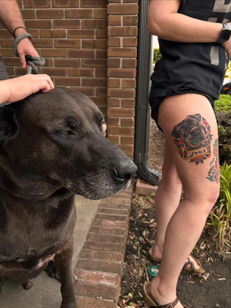 joshbovendertattoo
