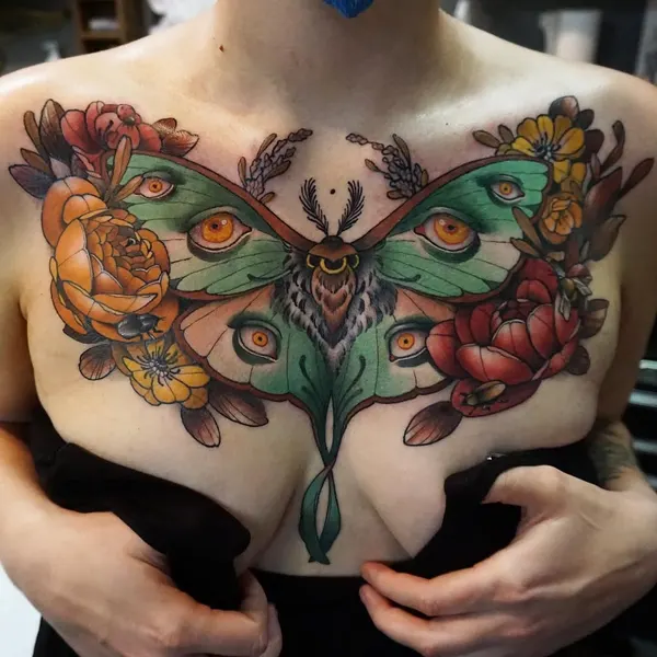 Animal, Nature