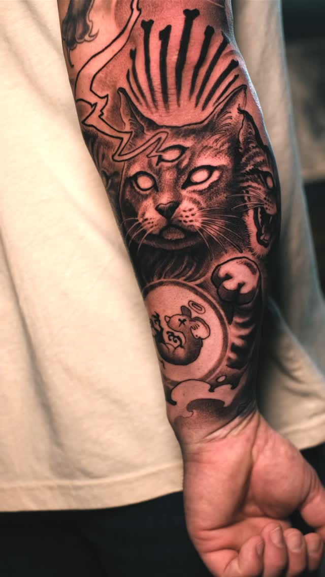 Tiger, Animal