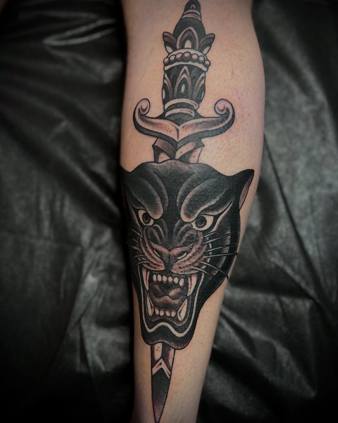 Tiger, Animal