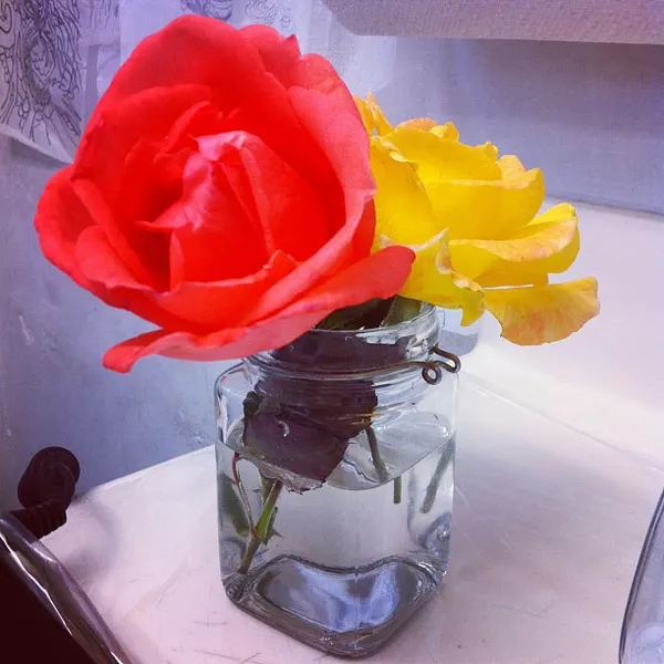 Flower, Rose