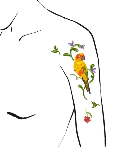 Animal, Nature, 앵무새