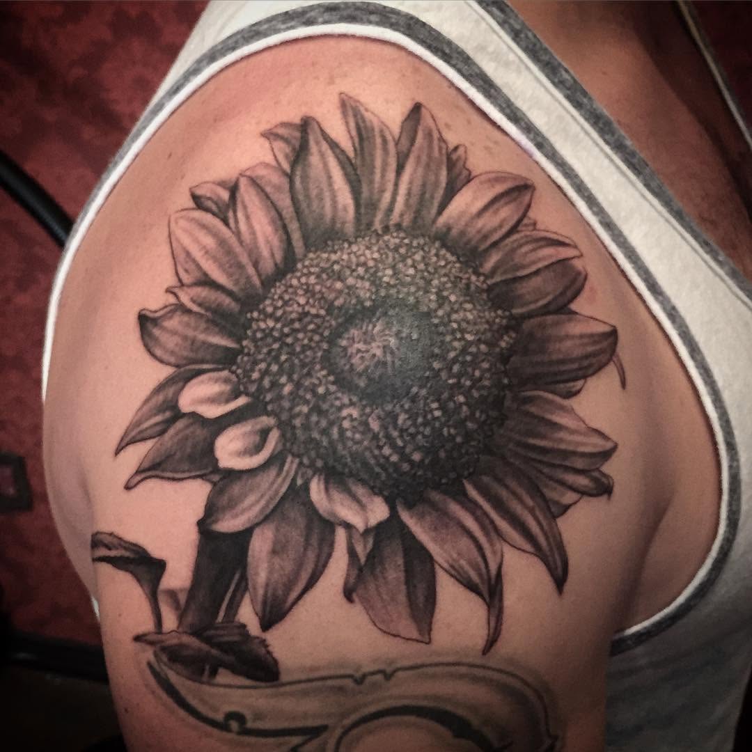 Flower, 해바라기