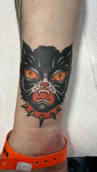 Animal, Tiger