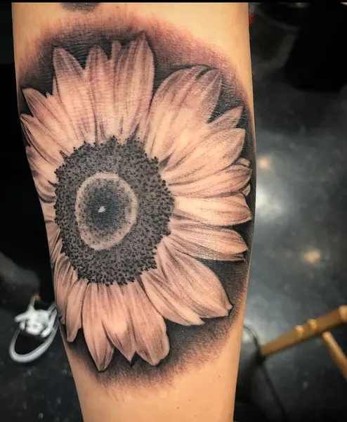 Flower, 해바라기