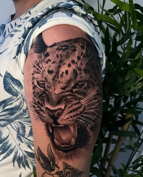 Animal, 표범, 재규어