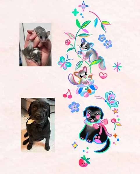 Animal