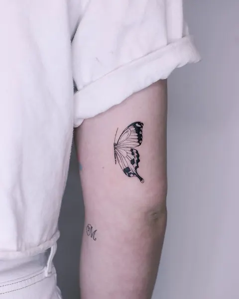 Animal, Nature