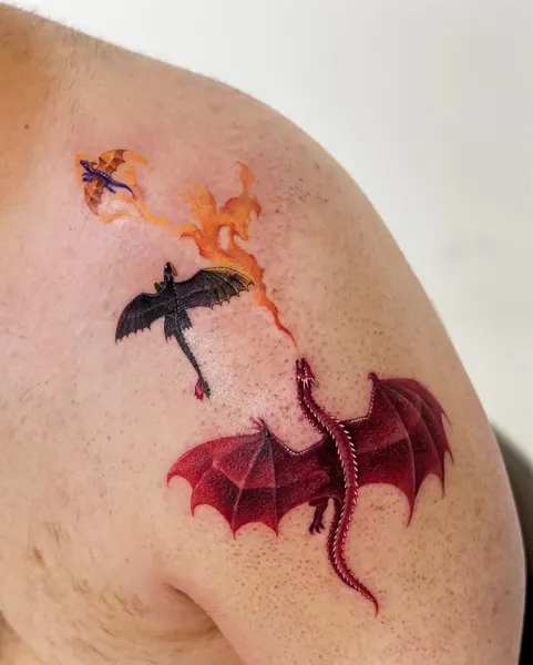 Dragon, 판타지, 드래곤 라이더