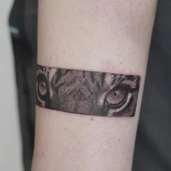 Tiger, 카메라