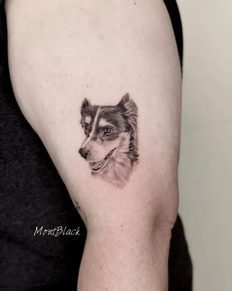 Animal, 여우, 늑대, 충성, 너구리