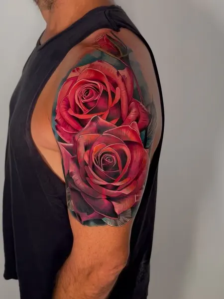 Rose, Nature, Flower