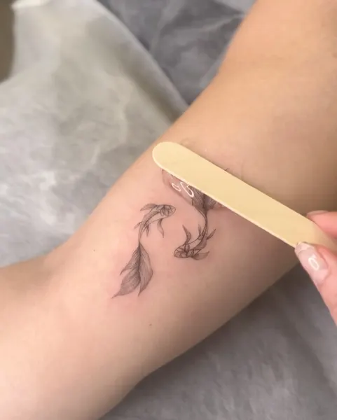 뿌리, 잎, 풀, 고사리, 단풍잎, 은행잎, 덩굴, 나뭇가지, 올리브 가지