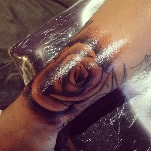 Flower, Rose