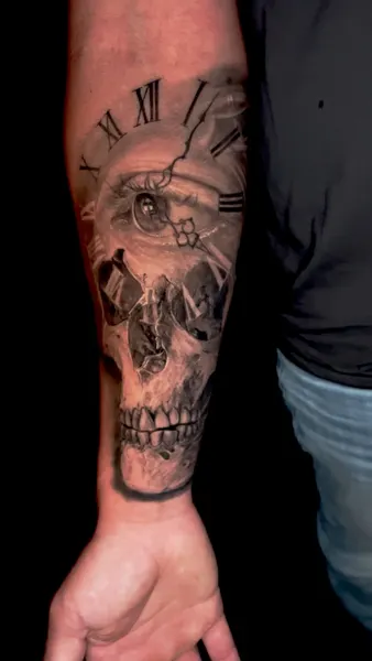 뼈, Skull