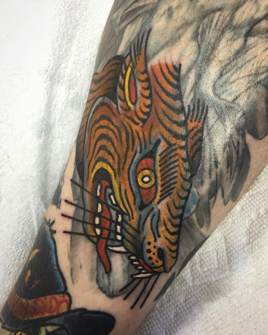 Tiger