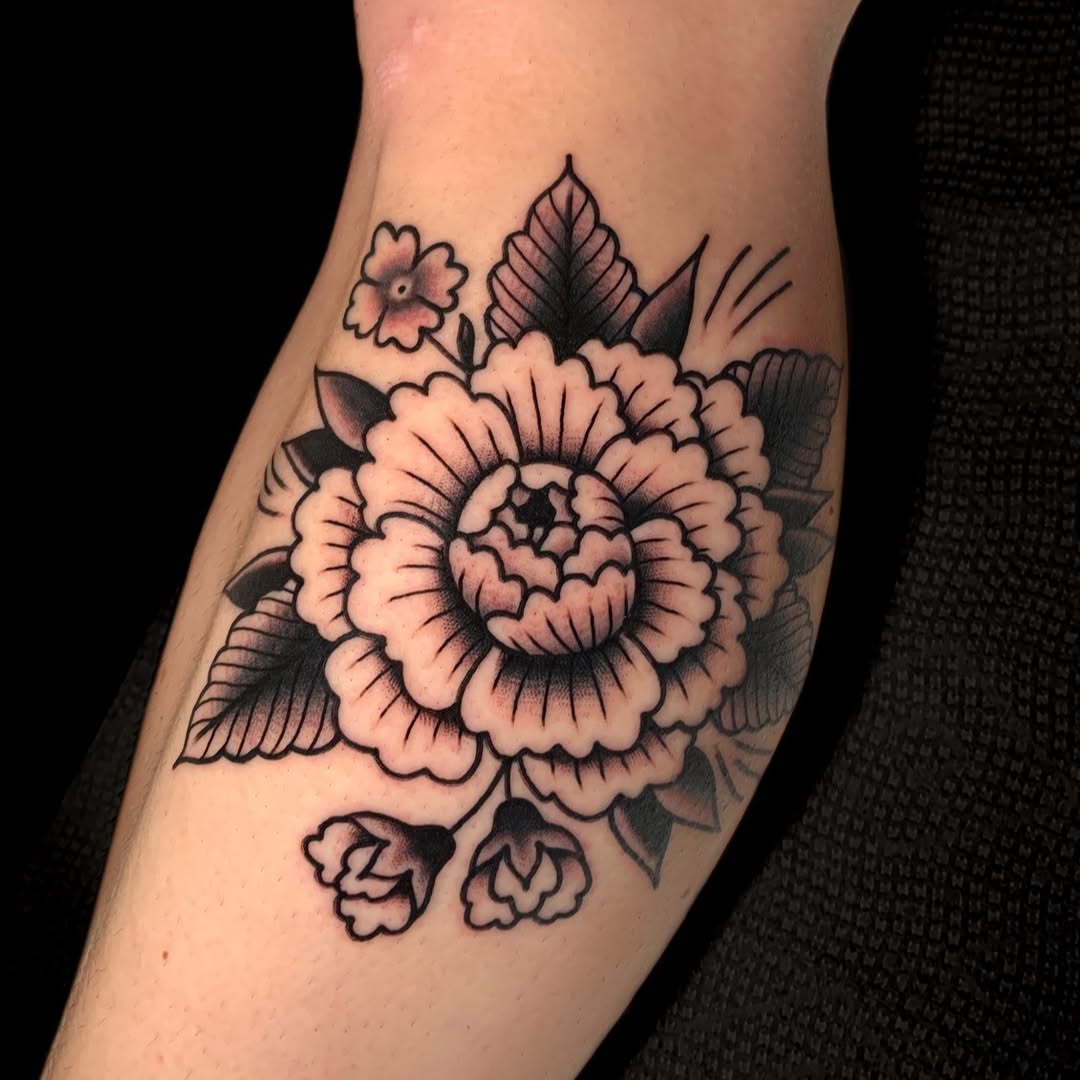 Flower, Rose, 국화