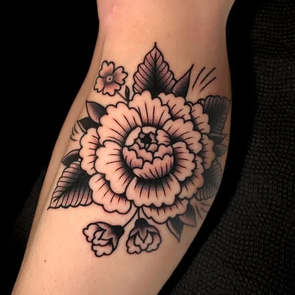 Flower, Rose, 국화
