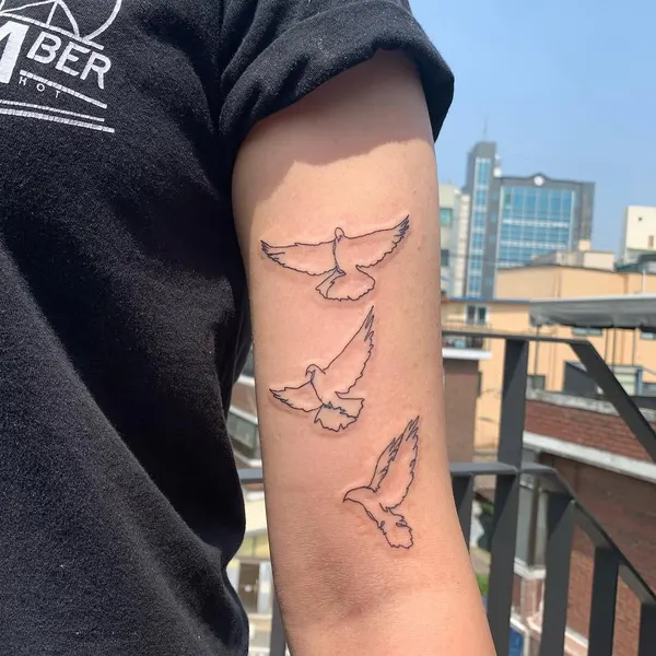 배, 요트, 비행기, 바다, 바람