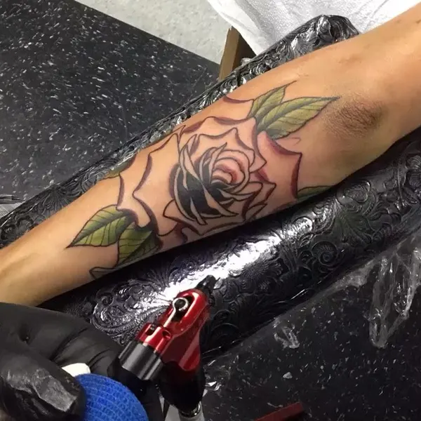 Flower, Rose