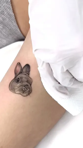 토끼, 다람쥐, 코알라