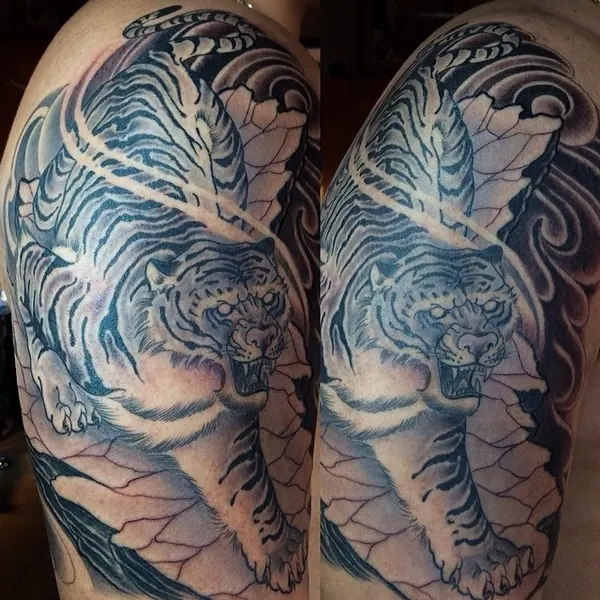 Tiger