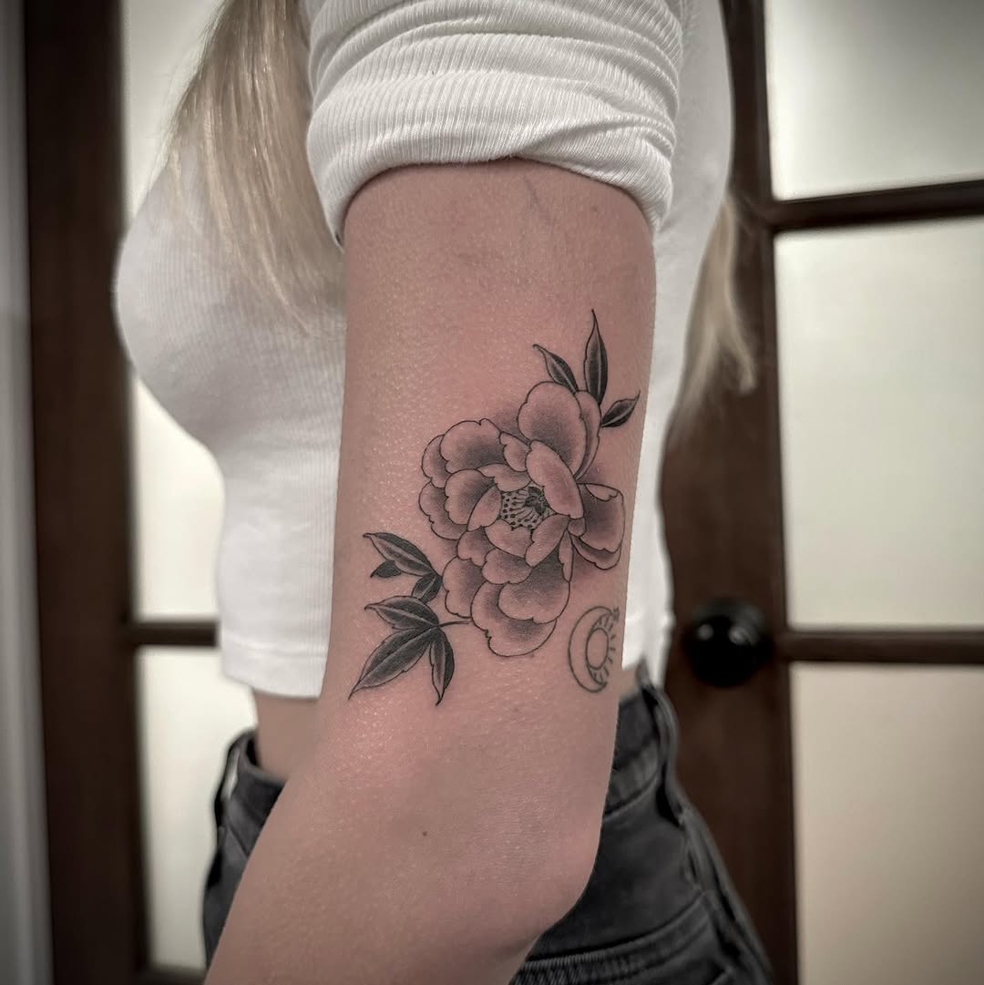 Flower, Rose, Nature
