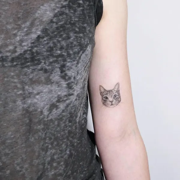 고양이, 반려동물, 여우 가면