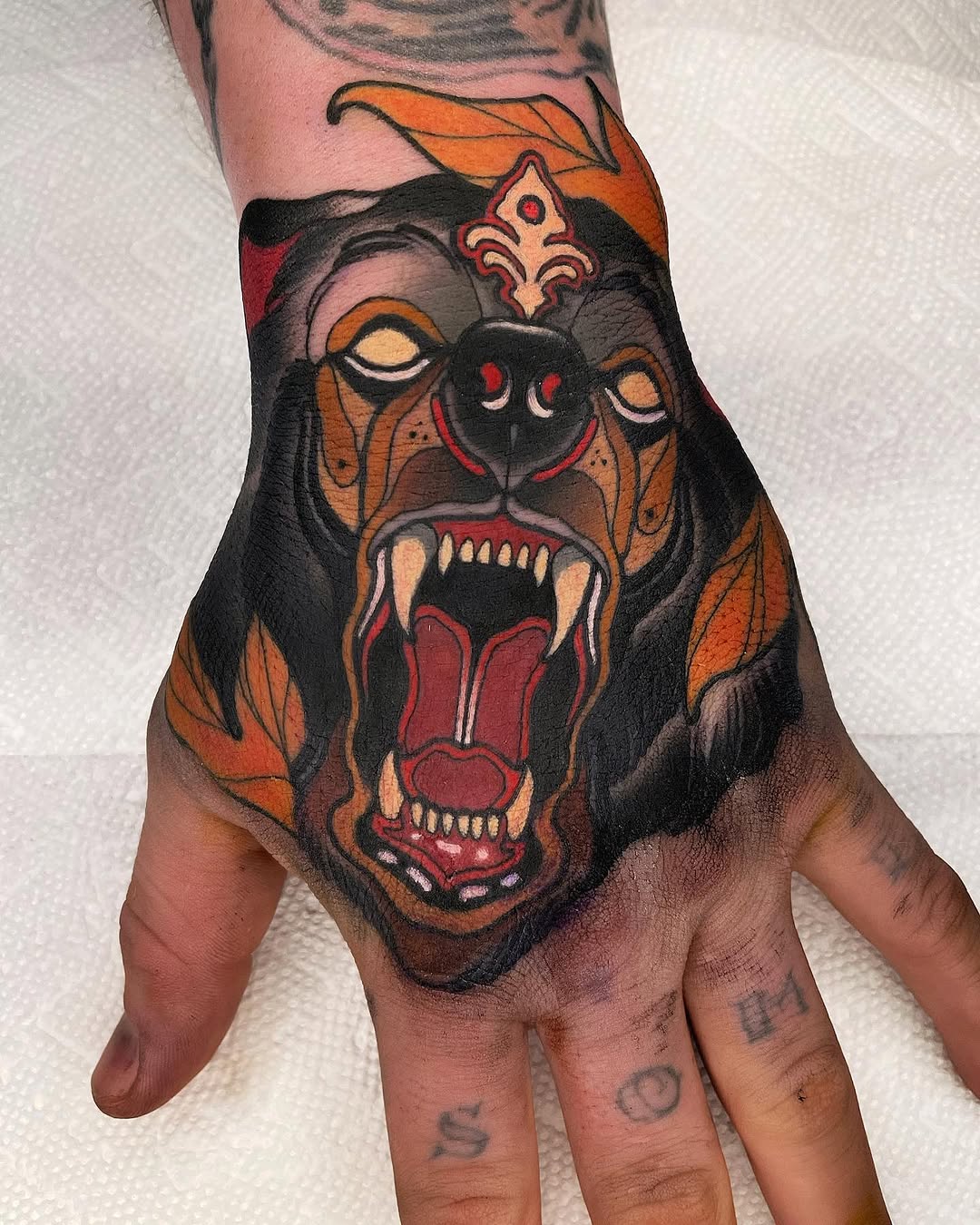 Animal, Tiger