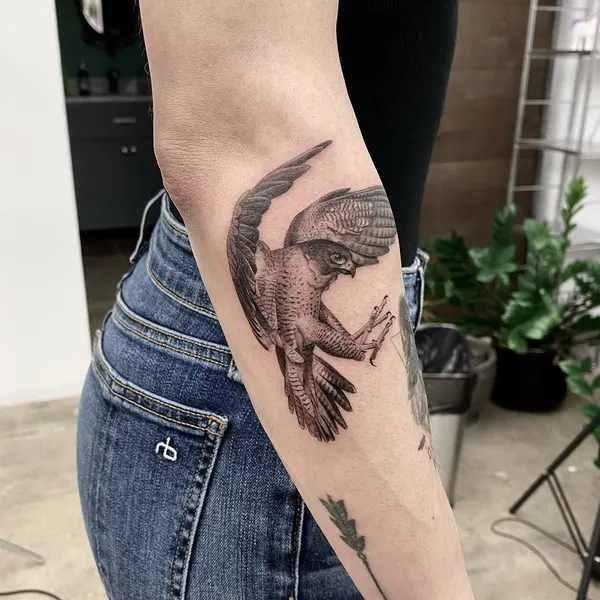 Animal, 공작, 수탉, 매, 학, 그리핀, 독수리, 발키리