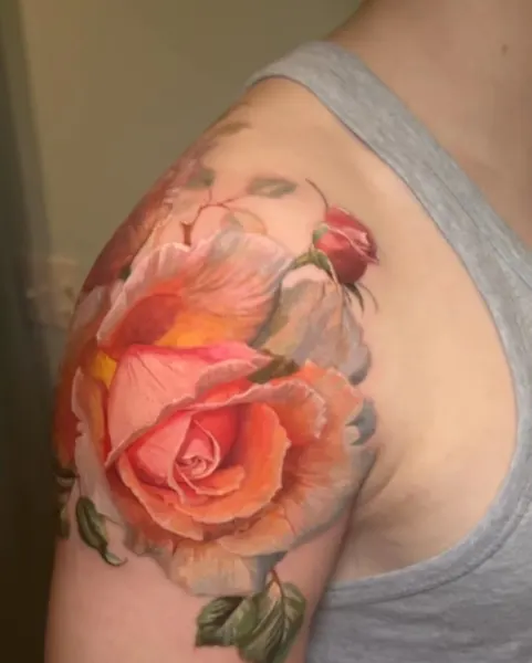 Flower, Rose, Nature