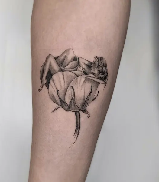 Flower, Rose