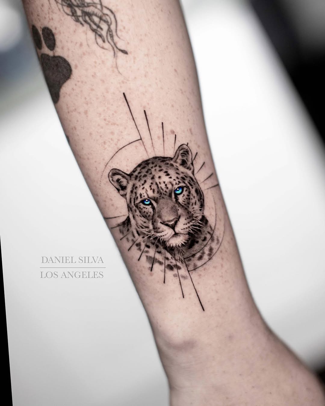 Animal, 팬서, 표범, 치타
