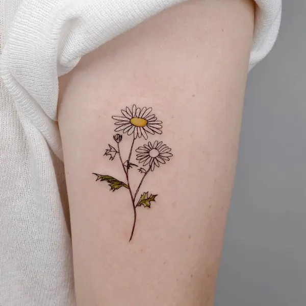 자동차, Mini