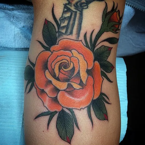 Flower, Rose