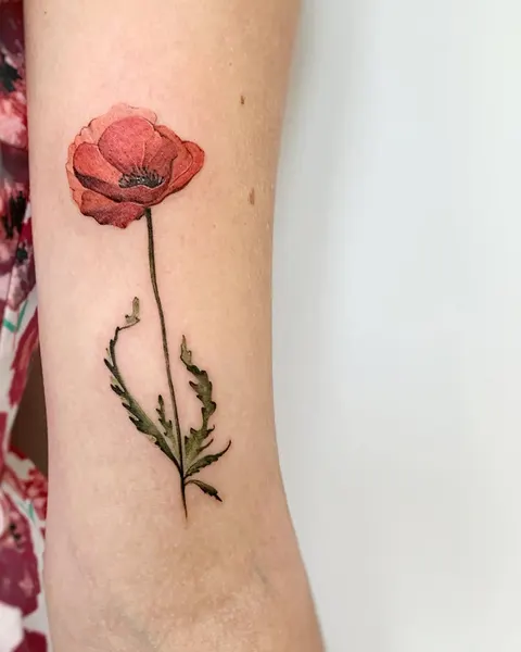Flower, Rose, 양귀비