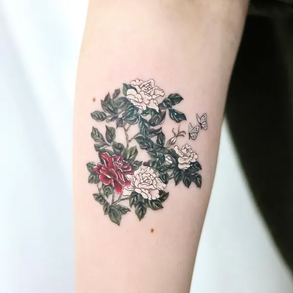 Flower, Rose