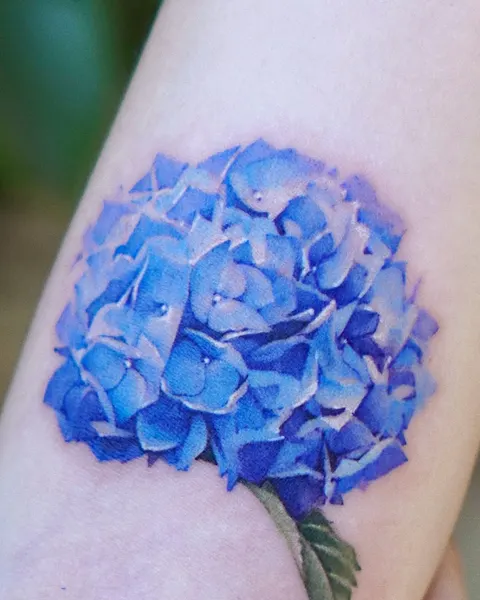 Rose, Flower