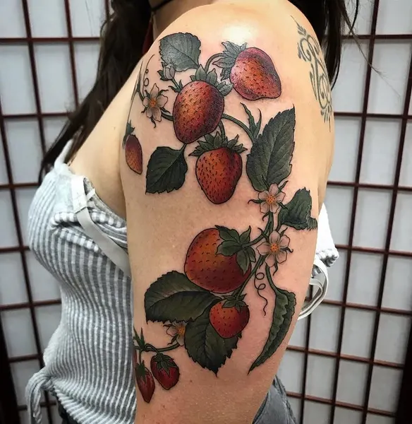 Flower, Rose, 사과, 석류, 과일, 매화, 딸기, 일본 단풍
