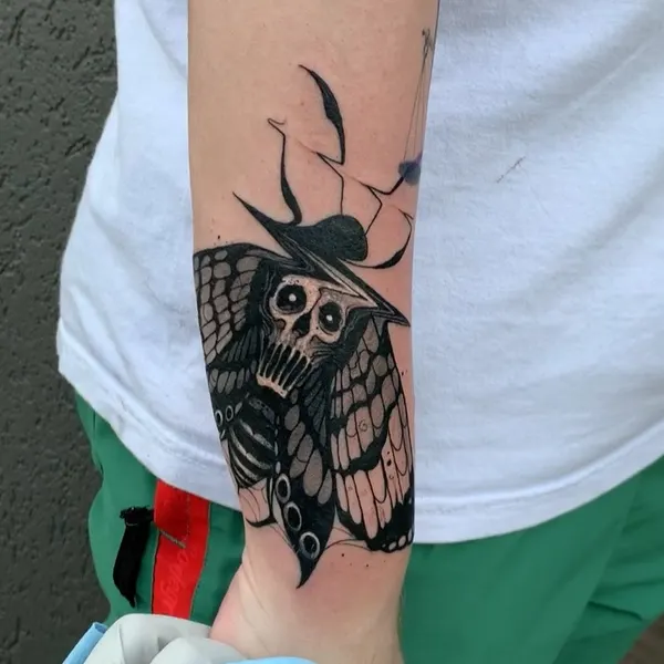 Animal, Nature