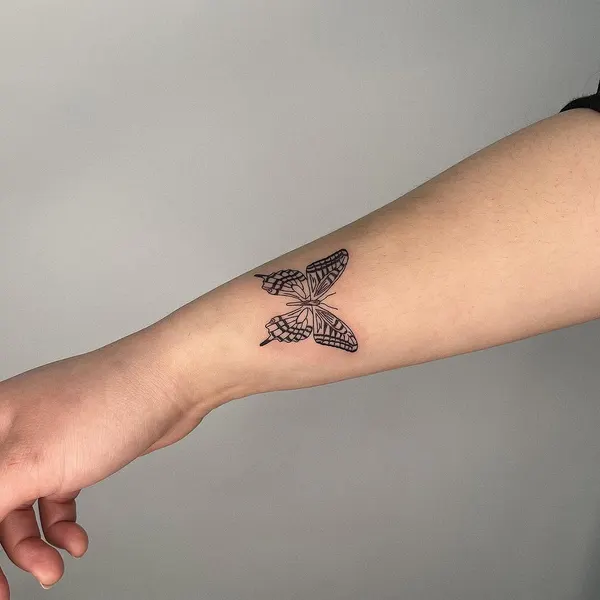 Animal, Nature, 나방, 잠자리