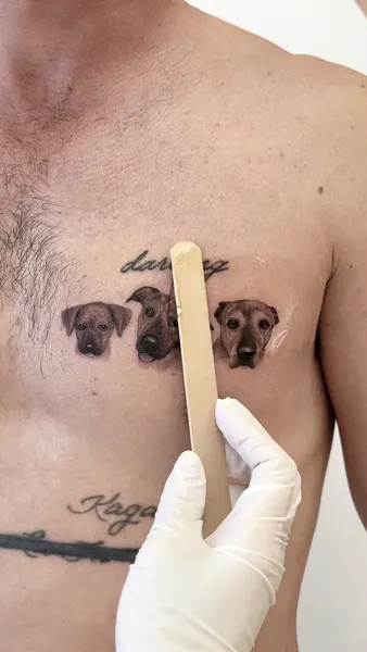 paw.tattoo