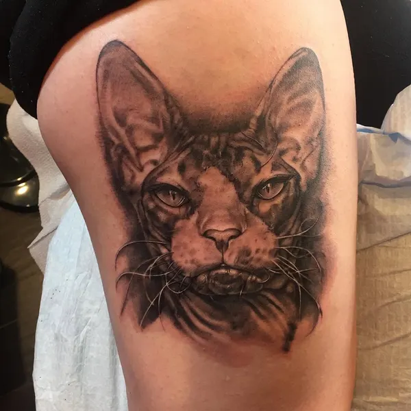 Animal