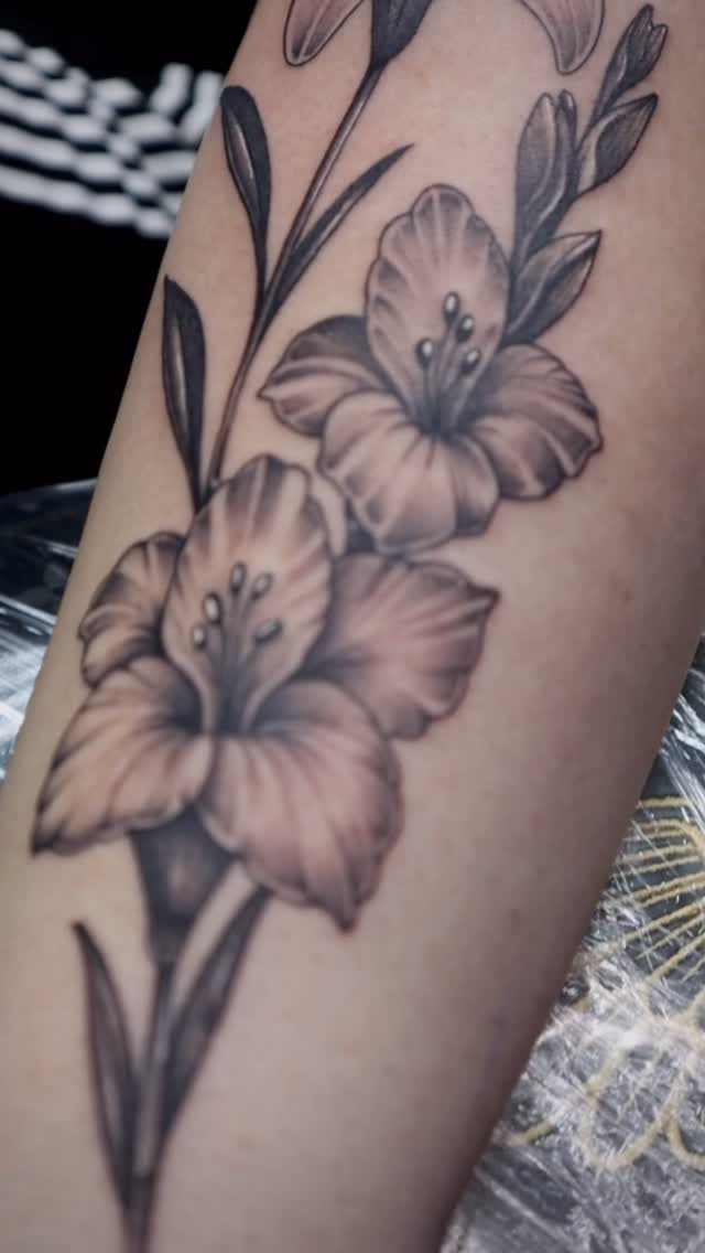 Flower, 국화, 백합, 수선화