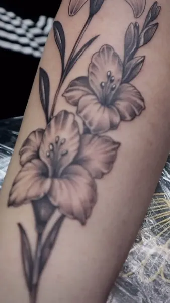 Flower, 국화, 백합, 수선화