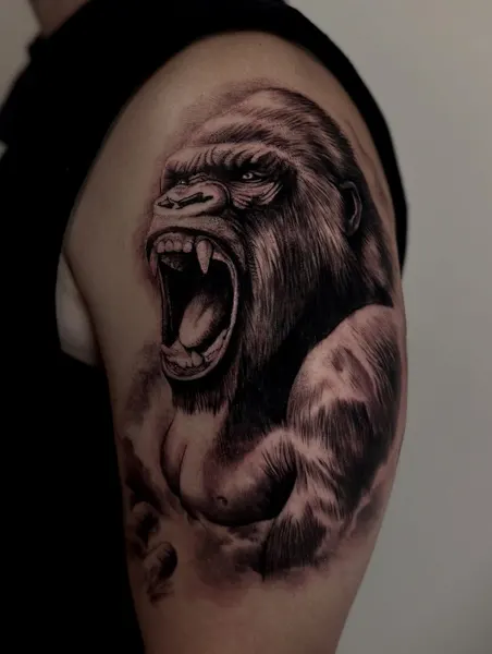 Tiger, Animal, 고릴라