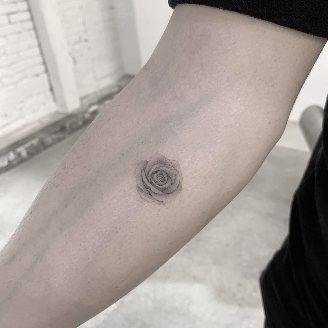 원, Flower, Rose, 나선, 차크라, 음양